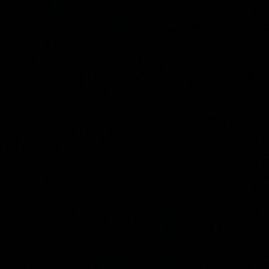 Meet your Posher, Braylon